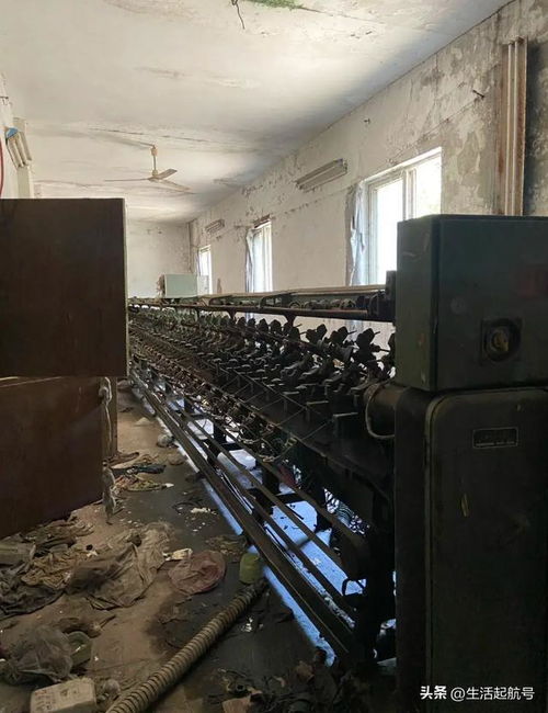 從行業明珠到時代遺珠 丹陽棉紡廠的興衰啟示錄
